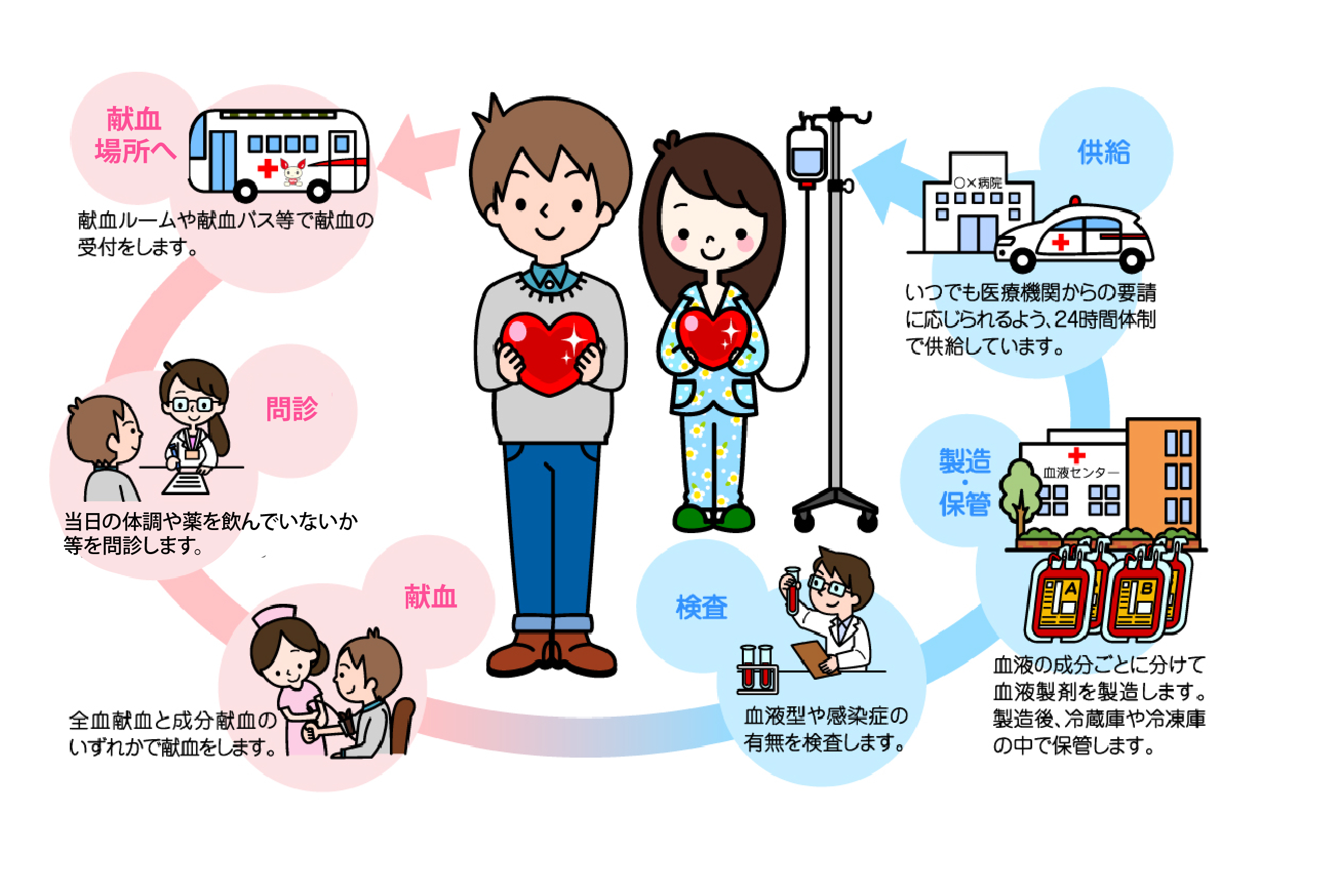 血液のゆくえ 初めて献血される方へ 献血する 日本赤十字社