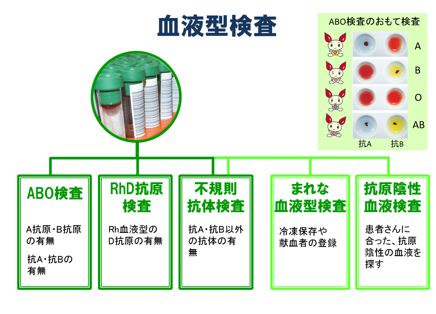 血清学的検査等 安全対策 輸血用血液製剤 医薬品情報 日本赤十字社