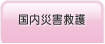 国内災害救護