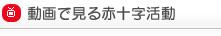 動画で見る赤十字活動