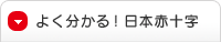 よく分かる！日本赤十字