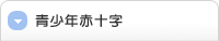 青少年赤十字