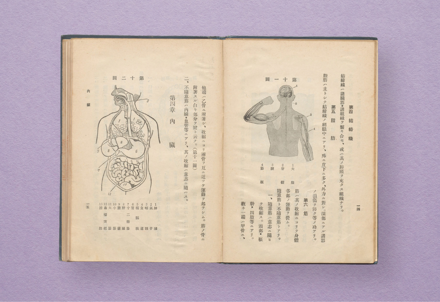 「家庭看護法 全」より