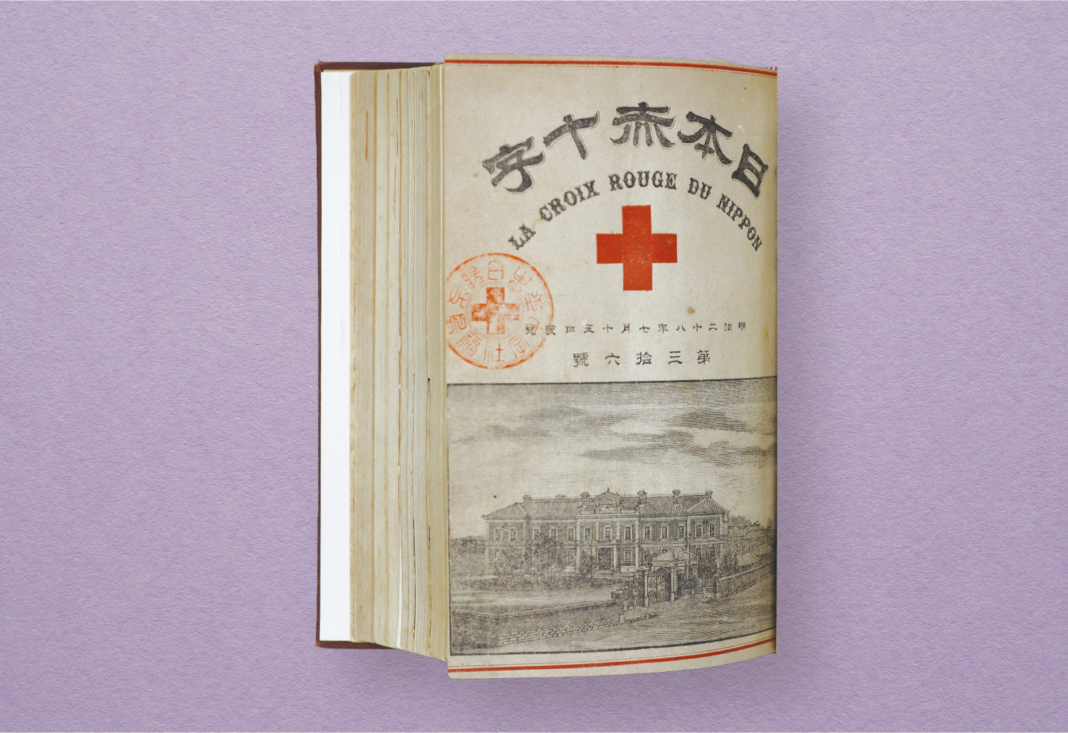 『日本赤十字』第36号（1895）