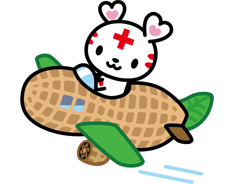 ピーナッツ飛行機ハートラちゃん