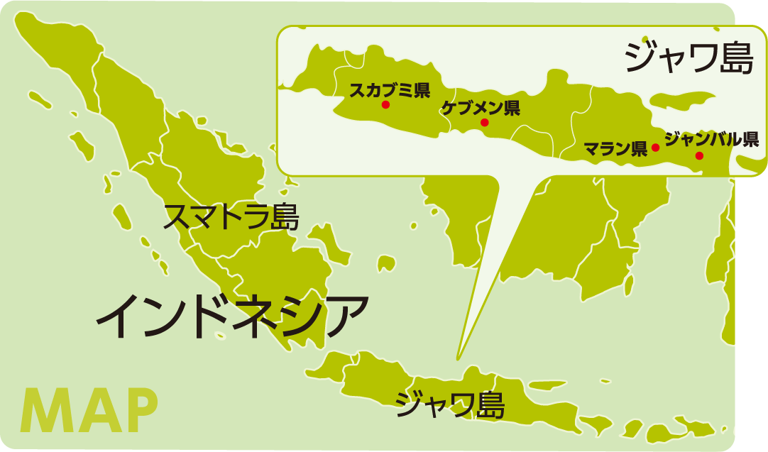 インドネシアの地図