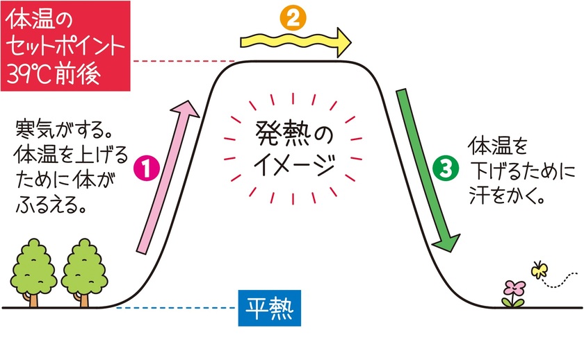 熱を伴わない悪寒の7つの原因と治療のヒント - 健康百科事典
