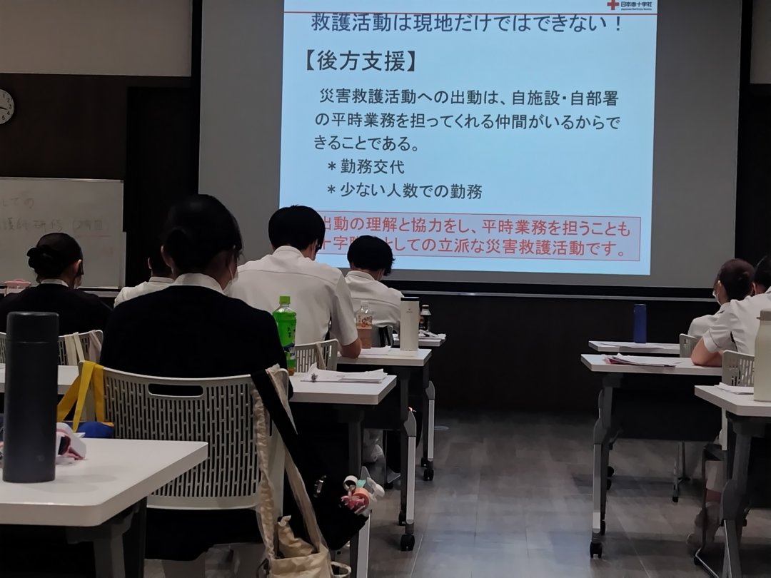 SNS3 (2).JPG