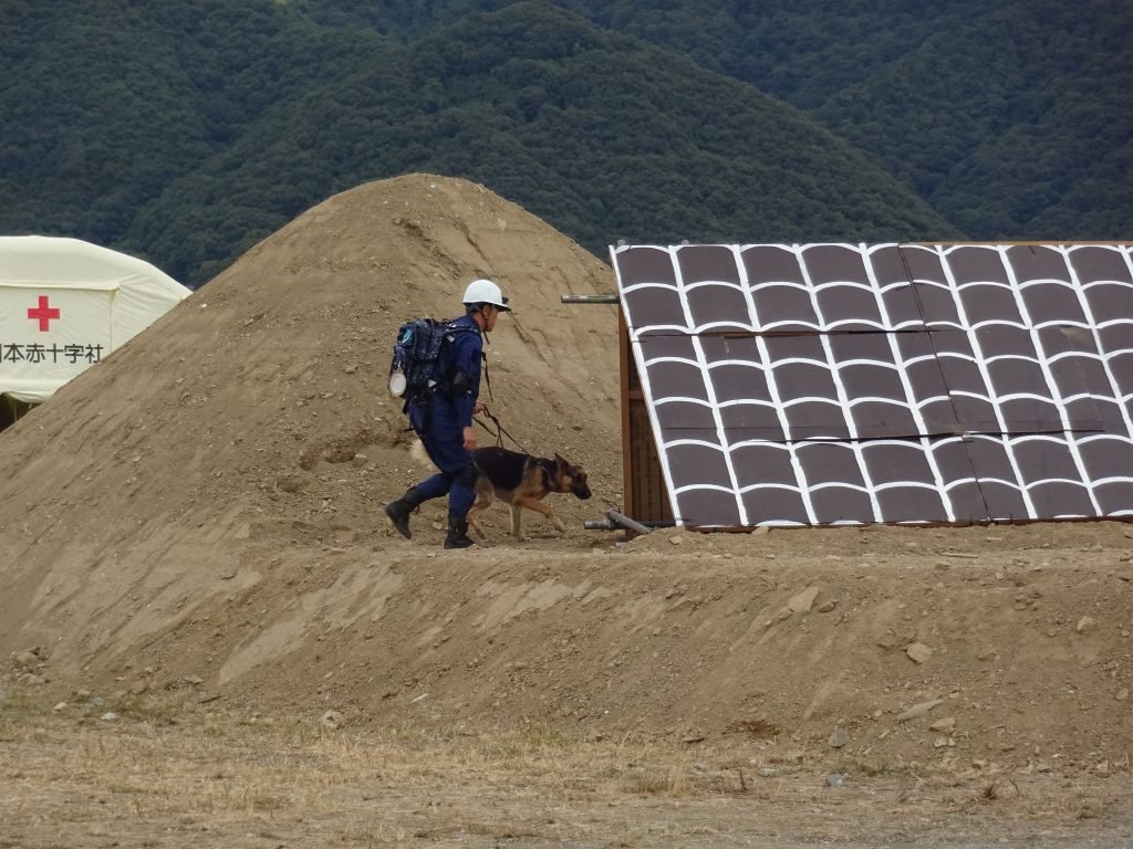 警察犬による要救助者捜索活動.jpg