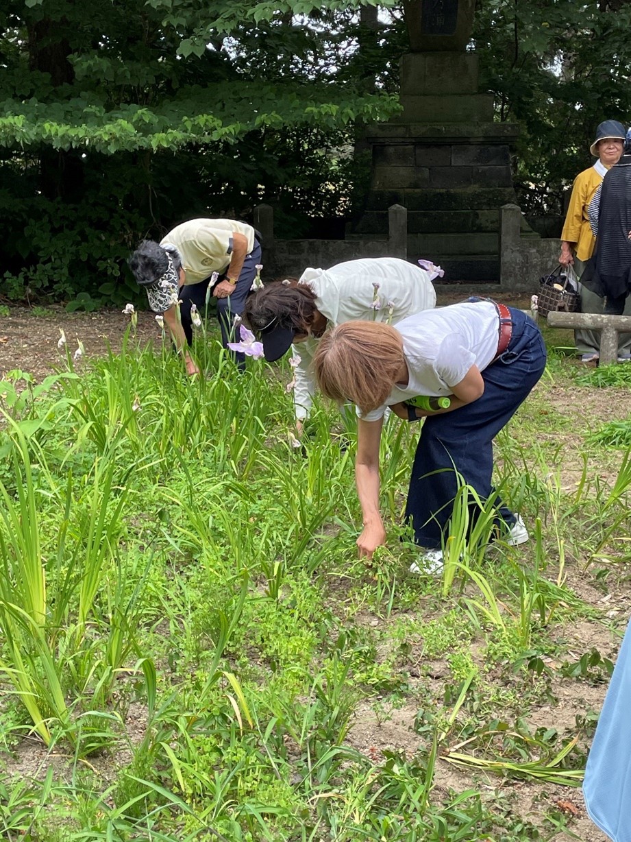 お母さん手入れ（当別）