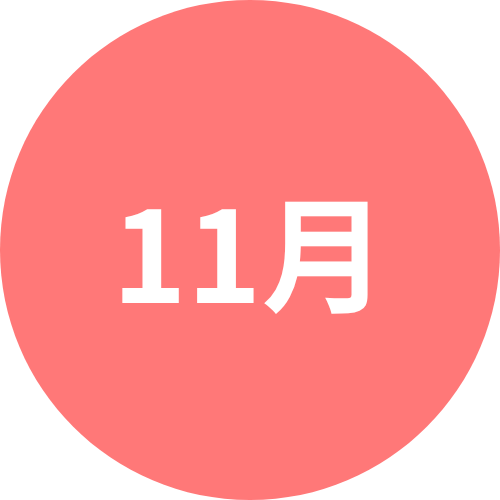 11月