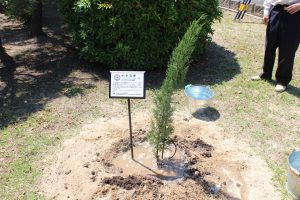 IMG_9509 - コピー