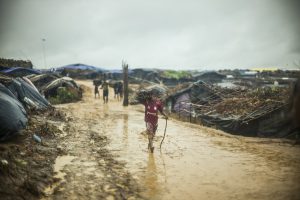 (C)IFRC_薪をはこぶ男の子p-BGD1295