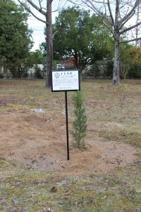 IMG_6352 - コピー