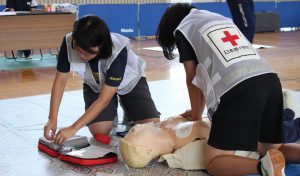 IMG_2452 - コピー