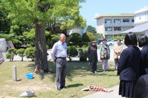 IMG_9484 - コピー