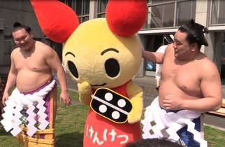 Hakuho and Harumafuji