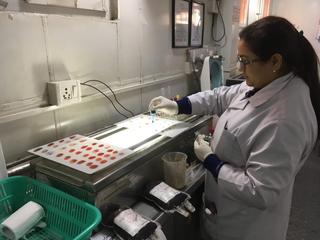 血液型の検査をしている様子