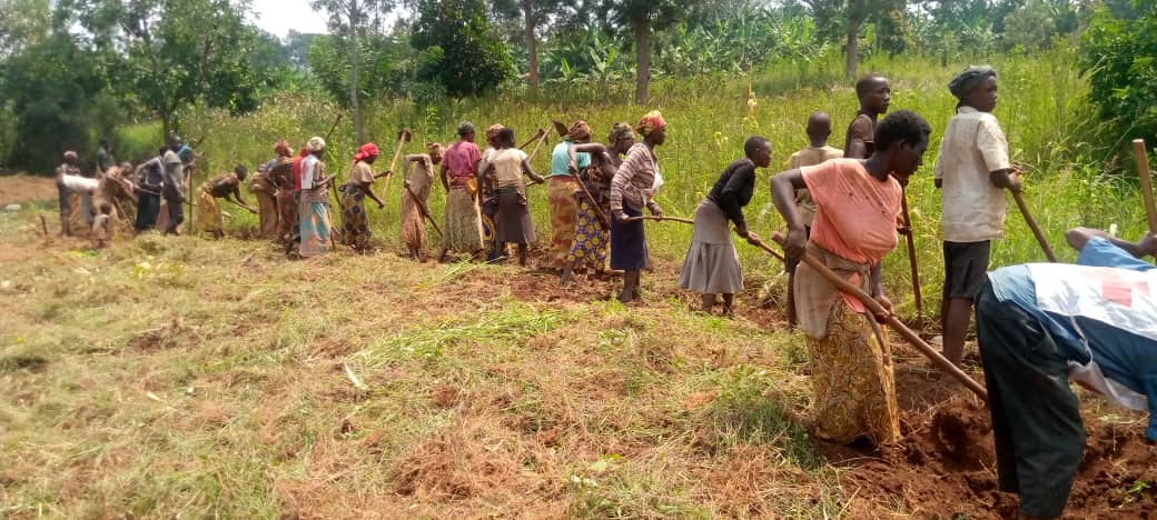 WhatsApp Image 2023-05-26 at 12.42.14.jpeg