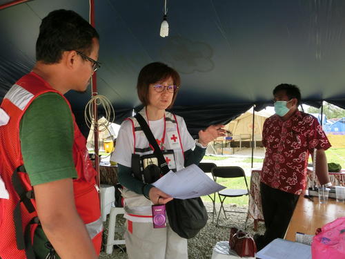 緊急保健活動に助言する日赤の保健医療アドバイザー