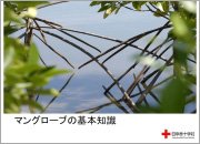 マングローブについて