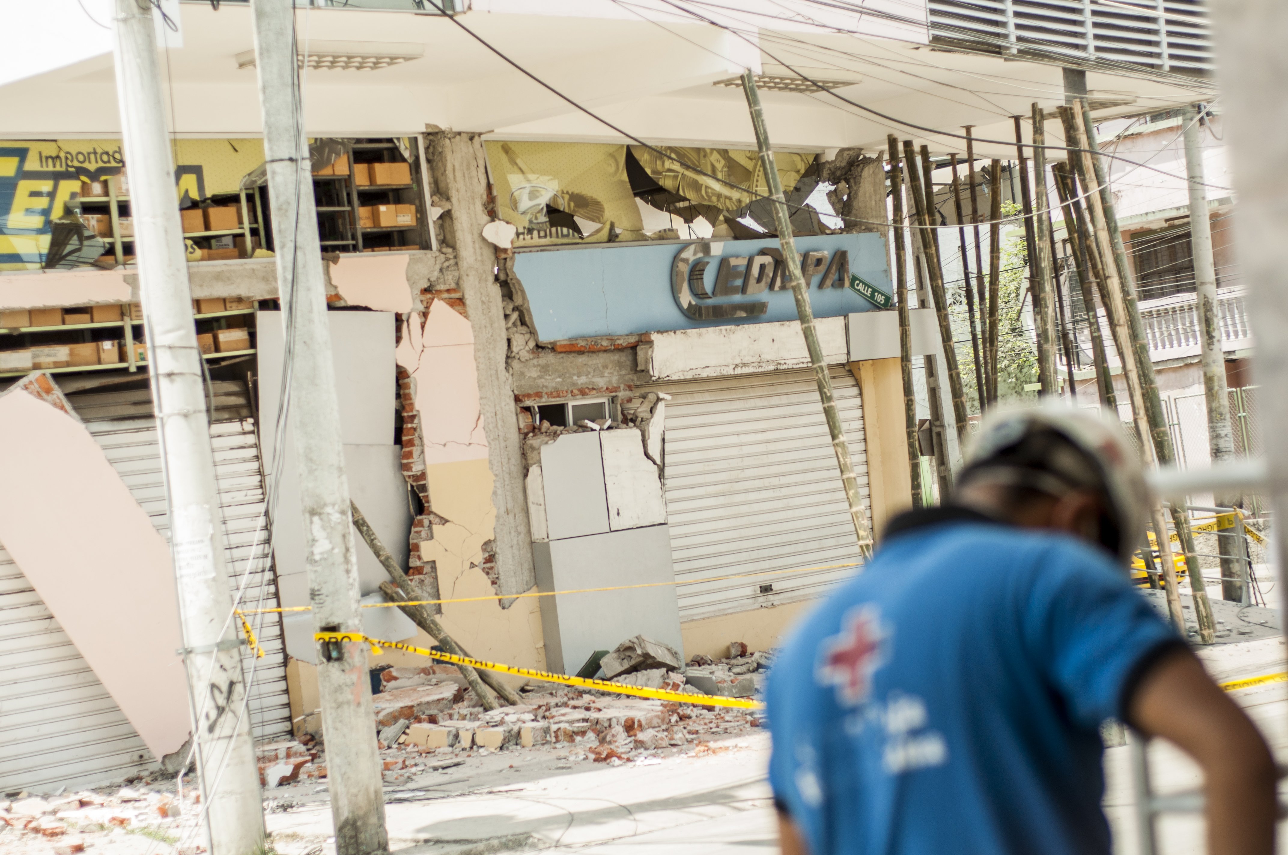 被害のひどかったマナビの様子