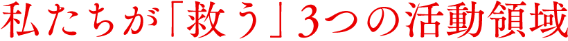 私たちが「救う」3つの活動領域
