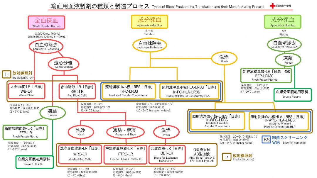 血液の基礎知識 : 血液事業の歴史と方向 血液の基礎知識 : 血液事業の歴史と方向 - メルカリ