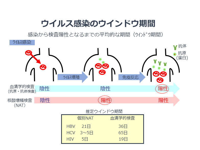 核酸増幅検査 安全対策 輸血用血液製剤 医薬品情報 日本赤十字社