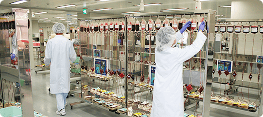 保存前白血球除去